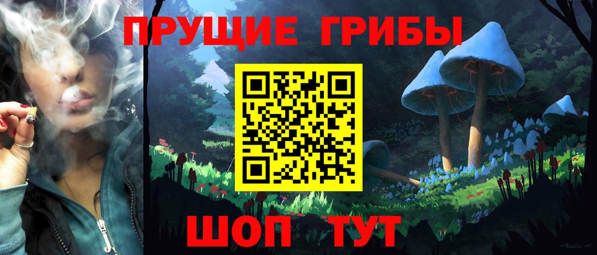 Брянск  Псилоцибиновые грибы мухоморы  Вход с VPN 